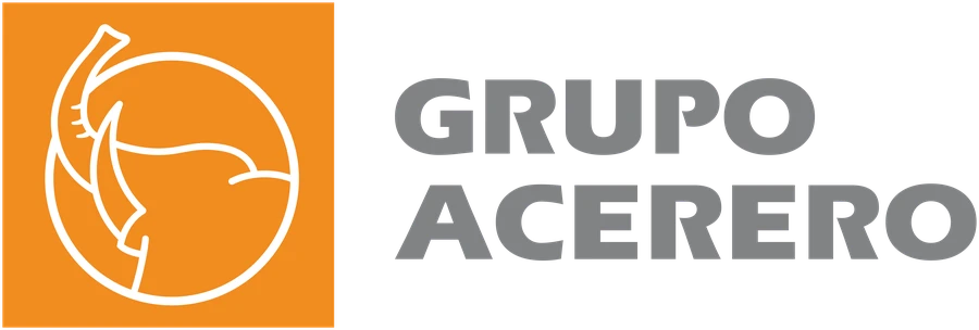 Grupo Acerero