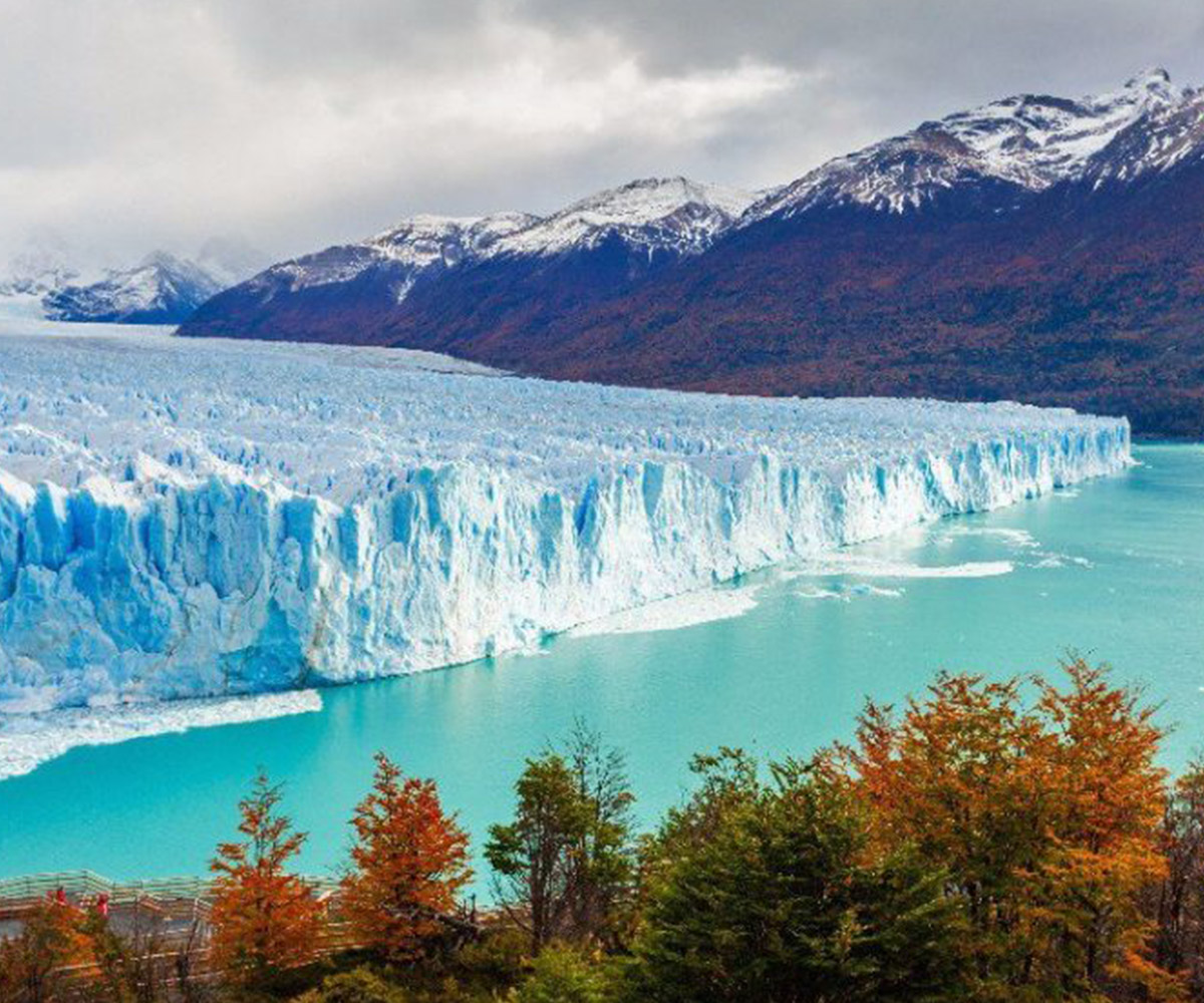 calafate_01