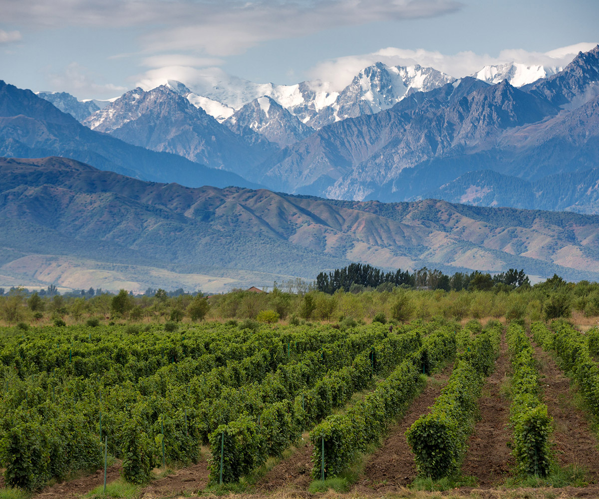 mendoza_02
