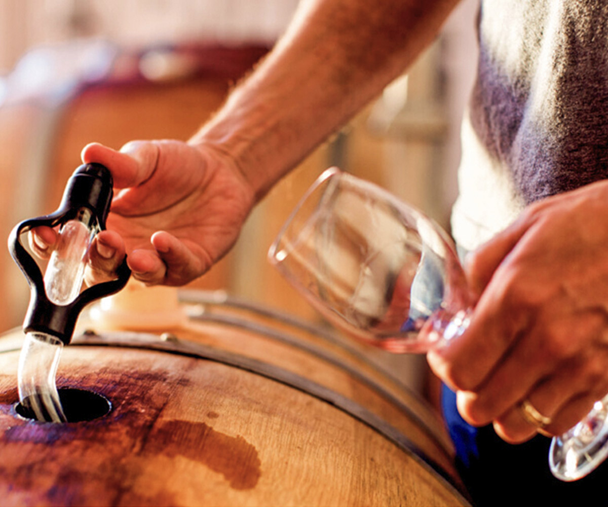 vinos_03
