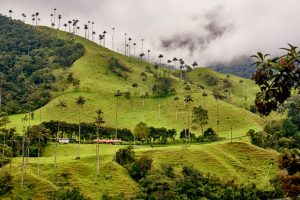 Eje-Cafetero-3
